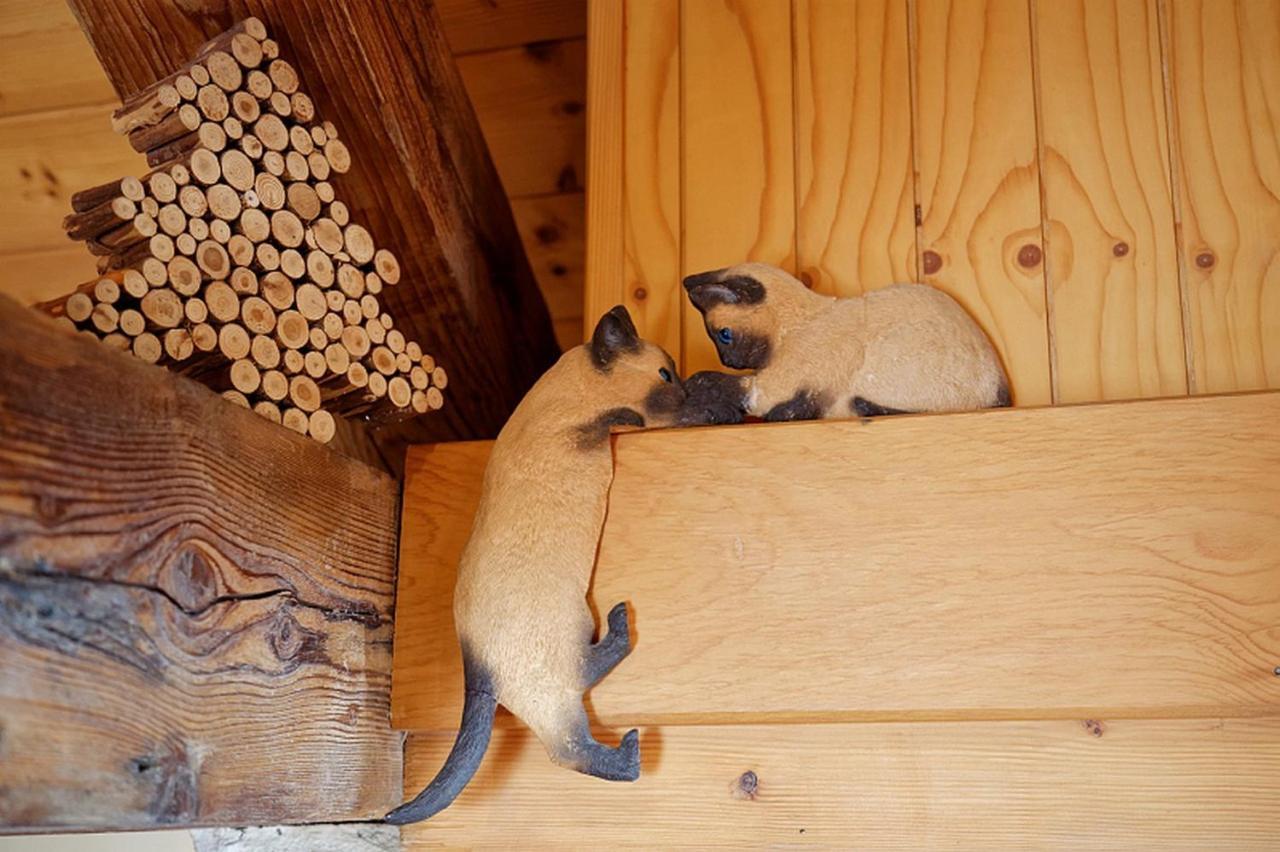 Chalet Le Petit Jura Villa Morbier Dış mekan fotoğraf