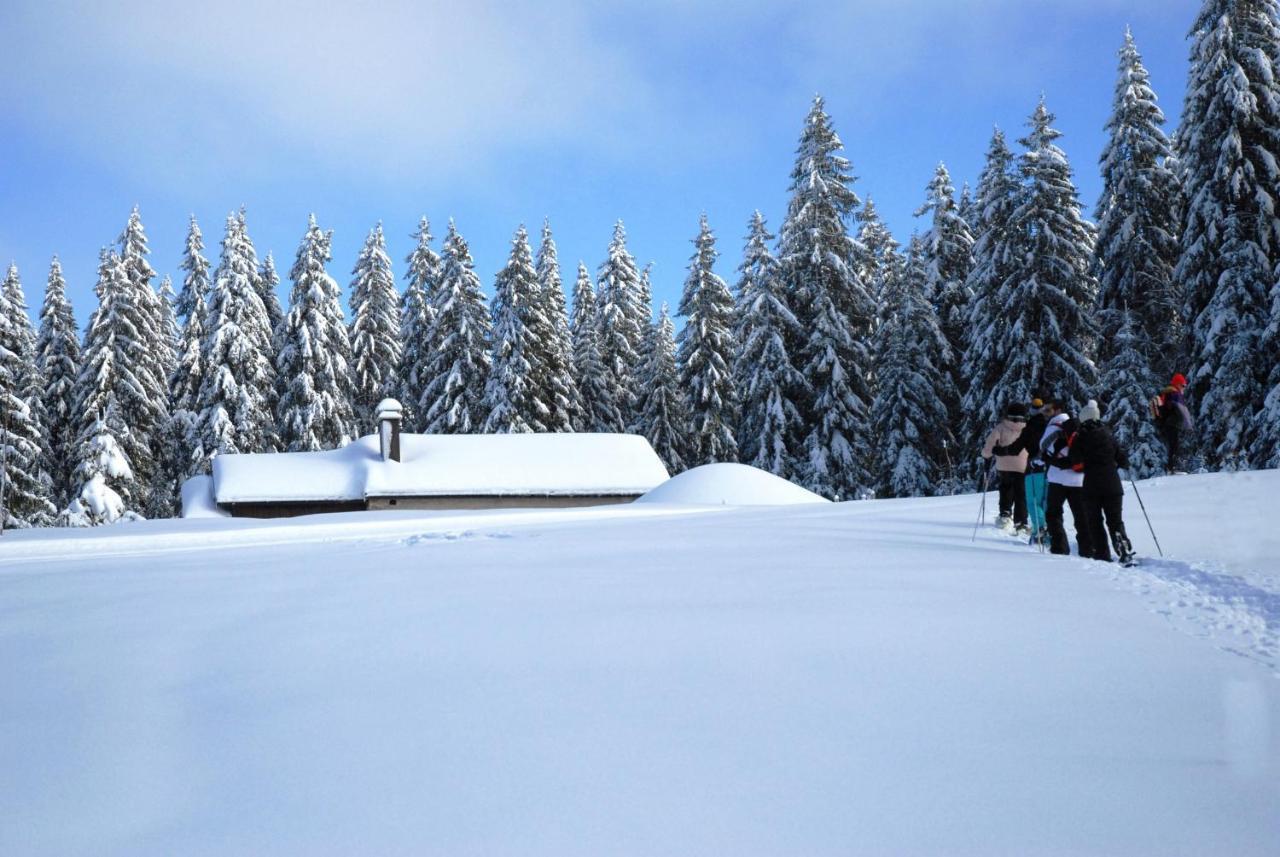 Chalet Le Petit Jura Villa Morbier Dış mekan fotoğraf